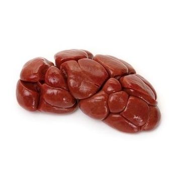 Frozen Halal Beef Kidney for Human Consumption - Top Grade Product - Exigentelaxia Unipessoal Lda - Portugal