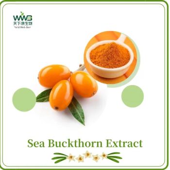 Vitamin C/Sea Buckthorn Extract/Kosher Halal Certified Sea Buckthorn Flavonoids 5%-60%/Sea Buckthorn Fruit Powder - Hunan World Well-Being Bio-Tech Co., Ltd. - China