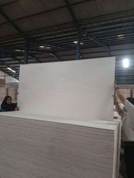 Plywood - ashal wood ltd - Indonesia