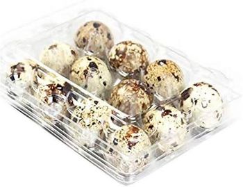 Fresh Canned Edible Quail Eggs Packaging Properties Printable, Reusable Packaging, Single-Use Packaging, Writable Closur from Thai Agri Company Fresh Canned Edible Quail Eggs Packaging Properties Printable, Reusable Packaging, Single-Use Packaging, Writable Closur - Thai Agri Company - Thailand
