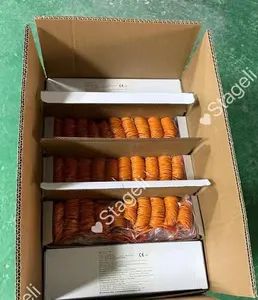 Factory Sales Electric Igniters 3m Wireless Igniter Fireworks Igniter Electric Match - Liuyang Stageli Technology Co., Ltd - China