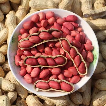 Premium Quality Peanut Kernels Wholesale Supply At Factory Price For Sale - MASI TRADING GMBH - Germany