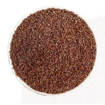 Premium Perilla Seeds – 100% Natural, Non-GMO & High Omega-3 Content - TRADE NEPAL LLC - United States