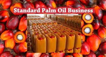 Red Palm Oil - Lordafrique AB - Sweden