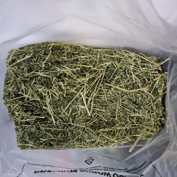 Superior Alfalfa Hay For Livestock Nutrition Featuring Clean Green Leaves And High Feed Palatability - TOSOH INTERNATIONAL - South Africa