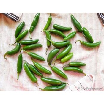 Fresh Green Chili Premium Quality Available At Discount Price For Wholesale Buyers from MASI TRADING GMBH Fresh Green Chili Premium Quality Available At Discount Price For Wholesale Buyers - MASI TRADING GMBH - Germany