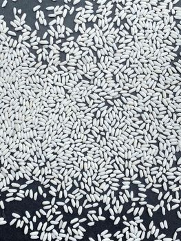 GLUTINOUS RICE 10% - Mekong Group - Vietnam