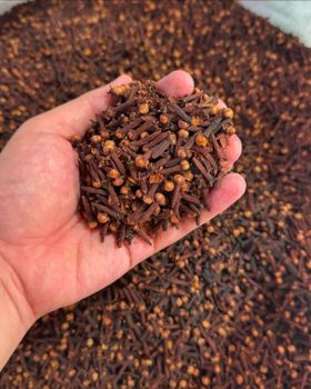 WHOLE DRIED CLOVE Aroma Strong Flavor Pungent Color Rich, Deep Brown Processing Method Handpicked And Sun-dried Intended Use Culinary, Medicinal, Or Aromatic Use - AB'STAR ETRINDO JAYA  - Indonesia