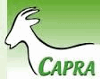 Product - CAPRA - Belgium