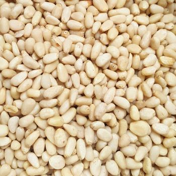 Fast Delivery Pine Nuts Fresh Natural Shelled Pine Nut Kernels Premium Quality Healthy Snack for Baking Cooking and Export - agroturaspzoo - Poland