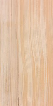 High Quality Balsam Fir Timber Bulk Supply Construction Grade - BMU TRADING GMBH - Germany