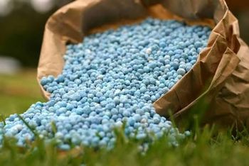 Agricultural Nitrogen Fertilizer Calcium Ammonium Nitrate CAN 27% N Granular Fertilizer for Healthy Crop Production - AGRONOVA - United States