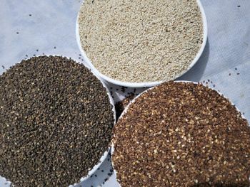 sesame seeds Aroma Rich Flavor Rich Shelf Life Longer Packaging Pp Bags Admixture Below 1% Moisture Level ≤6% Purity 99% Minimum - BLUE SAND CO.LTD - Sudan