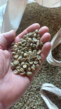 Arabica and Robusta coffee beans direct from Indonesia producers - Ezybay Trade - Singapore