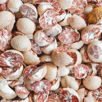 Split Betel Nut - PT Vale Agrovia Nusantara - Indonesia