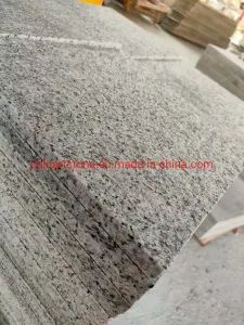 Chinese Cheapest Granite for Tile Pavers Kerbstone, Curbstone, Paving Stone - QUANZHOU SHIYIYUAN IMPORT & EXPORT CO., LTD. - China