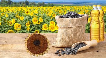 Premium Quality Ukrainian Refined Sunflower Cooking Oil 100% Organic For Sale in bulk - UMGS GROUP PTY LTD - South Africa
