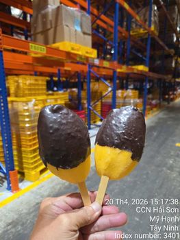 Frozen chocolate covered mango - Nguyen - Vietnam