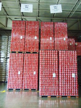 Authentic Cola Coca Soft Drink Can 320ML Fizzy Cola Flavor Drink Excellent Quality Premium Beverage - PLANETE COMMERCE - France