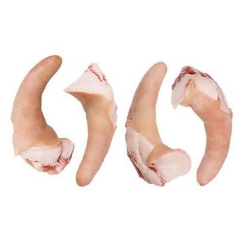 Frozen pork tail bulk wholesale supply chilled and frozen for restaurants and importers from N.G westen holding B.V Frozen pork tail bulk wholesale supply chilled and frozen for restaurants and importers - N.G westen holding B.V - Netherlands