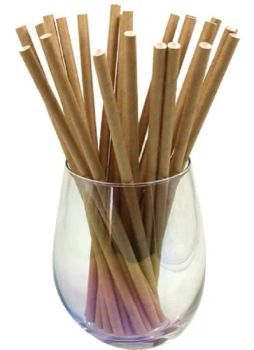 Eco-Friendly Biodegradable Drinking Straws Bulk for Party Supplies - Jiangsu B-Line Tools Co., Ltd. - China
