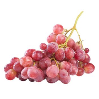 Organic Fresh Grapes - Porcosta, LDA - Portugal