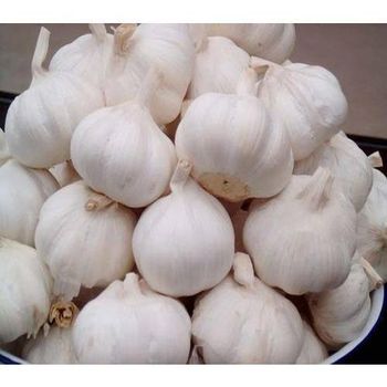 High Quality Top Grade New Crop Pure White Fresh Garlic 5cm Size – product photo, Fresh Black Garlic products found from trusted suppliers, wholesalers, manufacturers & exporters Listing