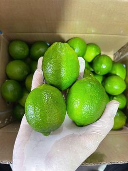 VIETNAM SEEDLESS LIME – product photo, Fresh Green Mango products found from trusted suppliers, wholesalers, manufacturers & exporters Listing