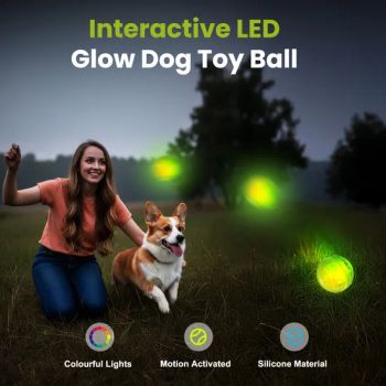 Food Grade Eco-Friendly Silicone Pet Chew Toy Ball Ipx7 Waterproof Rechargeable RGB LED Light up Dog Chewing Toys Ball - Shenzhen Joylife Technology Co., Ltd - China