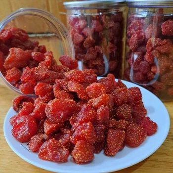 Soft Chewy Dried Strawberries Natural Fruit Snack Vietnam Wholesale Bulk Supply - Viet D.E.L.T.A Industrial Co.Ltd. - Vietnam