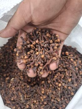 Premium Whole Dried Cloves (Cengkeh) – Indonesia Origin, Export Grade, Eugenol Min 70 - PT WAYGO SINERGI NUSANTARA - Indonesia