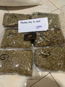 Coffee & Coffee Bean from H&B Coffee & Coffee Bean - H&B - China