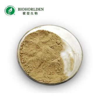 Hot Selling Enzyme Products Enzyme Preparation / Tg Enzyme/Pancreatin/Papain - Xi'an Biohorlden Industry & Trade Co., Ltd. - China