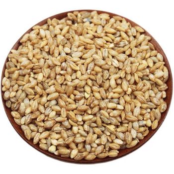 Qingke Dried Barley Rice High-Quality Wholesale Barley Rice Supplier - EcoRoma GmbH - Germany