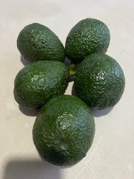 Hass Avocados  - Talanyak Gardens  - Kenya