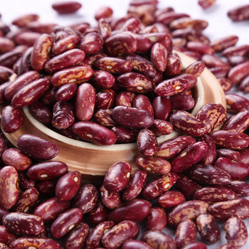 High Quality and Hot Selling Red Speckled Kidney Beans for Salewhatsapp +255787979235 - AL JABLI TRADING COMPANY LIMITED - Tanzania