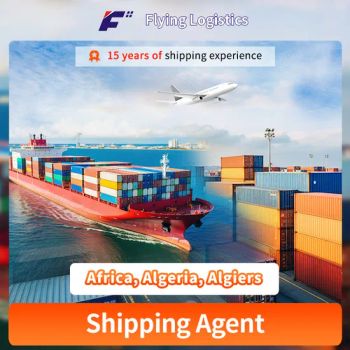 Express Delivery Service by Air/Sea/Ocean Cargo/Freight/Shipping Container LCL Agent From China to Africa, Algeria, Algiers Fast Logistics Shipping - SHENZHEN FLYING INTERNATIONAL FREIGHT FORWARDER CO., LTD - China
