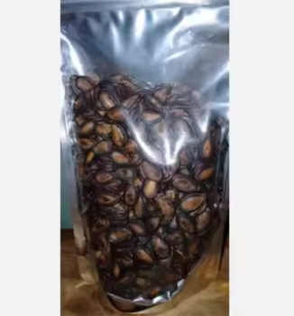 Premium Quality Natural Watermelon Seeds – Raw & Roasted Grade - TRADE NEPAL LLC - United States