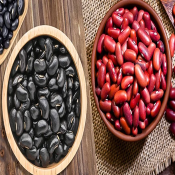 Pure Natural Black Kidney Beans High Nutrition Whole Beans Cheap Bulk Wholesale Price - A.C.P. AGRICULTURE COMPANY LIMITED - Thailand
