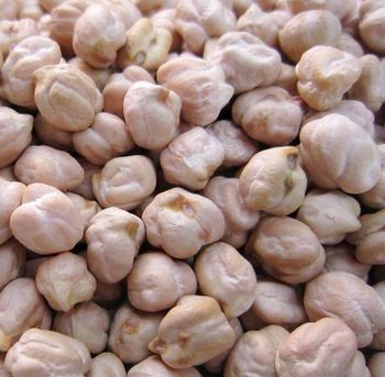 CHICKPEAS from AGRO AFRIQUE COMPANY LIMITED CHICKPEAS - AGRO AFRIQUE COMPANY LIMITED - Tanzania