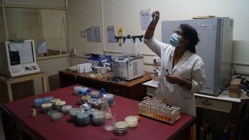 Ayurvedic Products Testing Services Duration 3 Days Service Mode Offline Report Soft And Hard Copy Service Location Pan - Zexa Analytical Laboratories - India