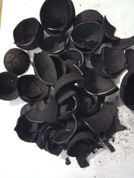 coconut shell charcoal - W&E HOLDING BV - Netherlands