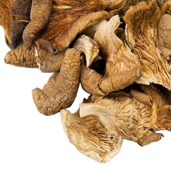 Wholesale high quality natural Dried shiitake mushrooms organic shiitake mushrooms 1kg price dried shiitake mushrooms - 180 TRADE SERVICES LLC - United States