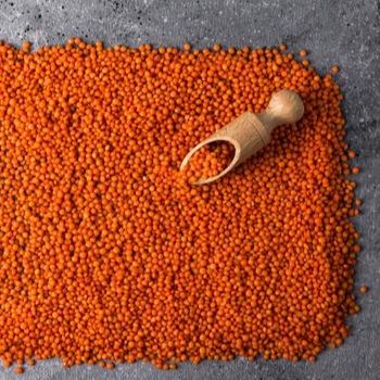 Premium Quality Best Price Export Red Lentils With Best Price – product photo, Fresh Red Lentils products found from trusted suppliers, wholesalers, manufacturers & exporters Listing
