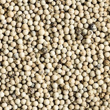 White Pepper Density 630gl Origin Vietnam Humidity 13,5 Max Color Natural Color Purity Pure And Clean Place of Origin KENYA - DABELU ENTERPRISES LIMITED - Kenya