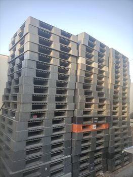 pallets plastic Ajman - Najm al Sharaq carpentery - United Arab Emirates