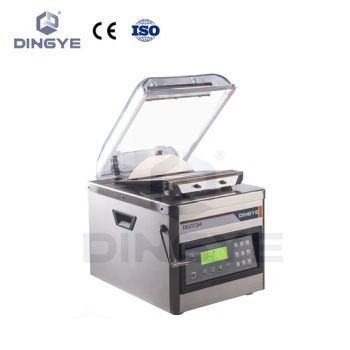 Vacuum Packager Machine Plastic bag vacuum and sealing DDZP260 - Zhejiang Dingye Machinery Co., Ltd. - China