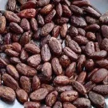 Certified Organic Cocoa Beans Roasted and Dried Cacao Beans Packed in Bag whatsap +255787979235 - AL JABLI TRADING COMPANY LIMITED - Tanzania