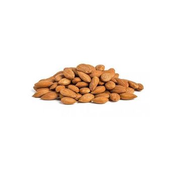 Premium apricot kernels supplied in large quantities at affordable price for exporters - BMU TRADING GMBH - Germany