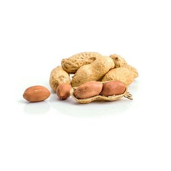High Quality Raw Peanuts Without Shell Raw Peanuts -  CALIPSO POLSKA SP Z OO  - Poland